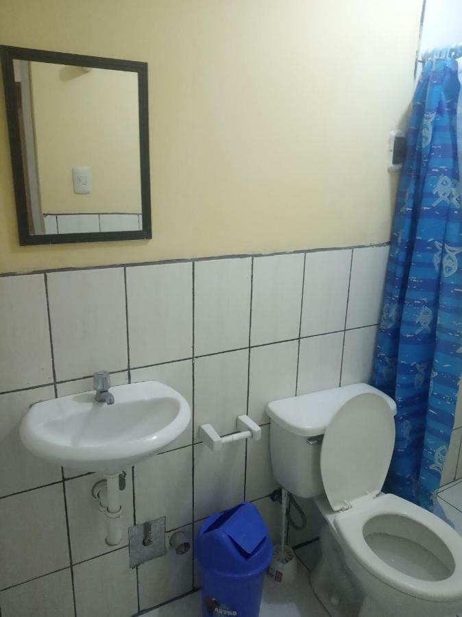 Ukumari Andino * Cuzco